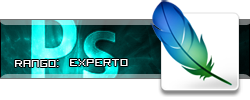 Experto.png