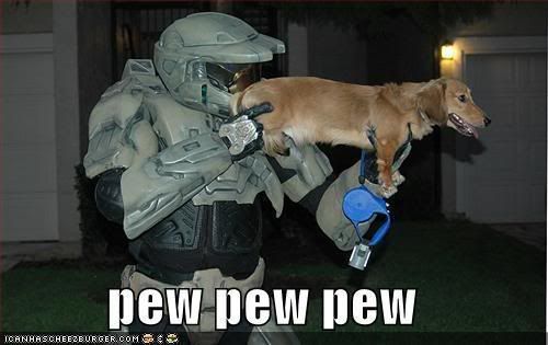 funny halo pics. Funny-pictures-halo-dog-pew12