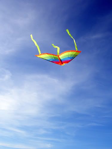 Kite Pictures, Images and Photos
