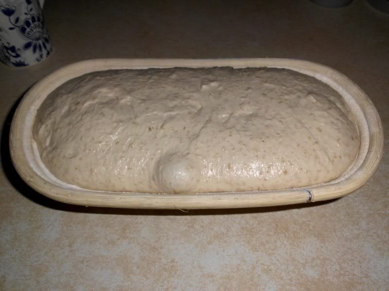 Dough after fridge prove