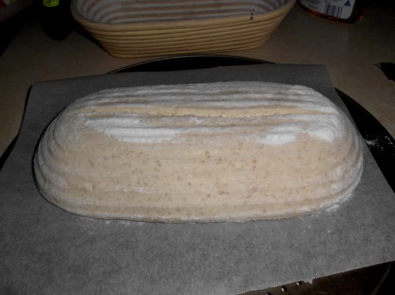 Turned out dough after overnight fridge prove