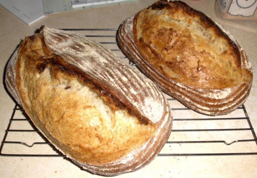 baked bread