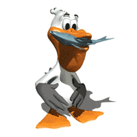 Pelican and fish - animation photo Pelicanandfish-animation.gif