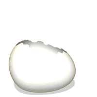 Ostrich egg hatching - animation