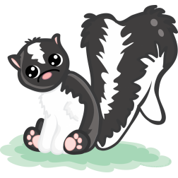 cute skunk Pictures, Images and Photos