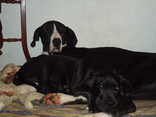 Imagem