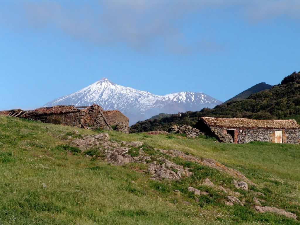 Teno y Teide 1 Pictures, Images and Photos