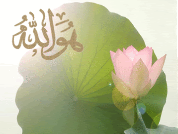 30 allah names Pictures, Images and Photos