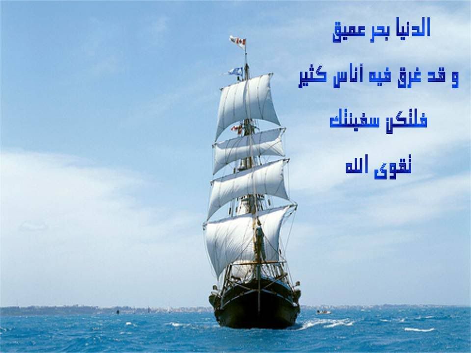 wisdom Pictures, Images and Photos