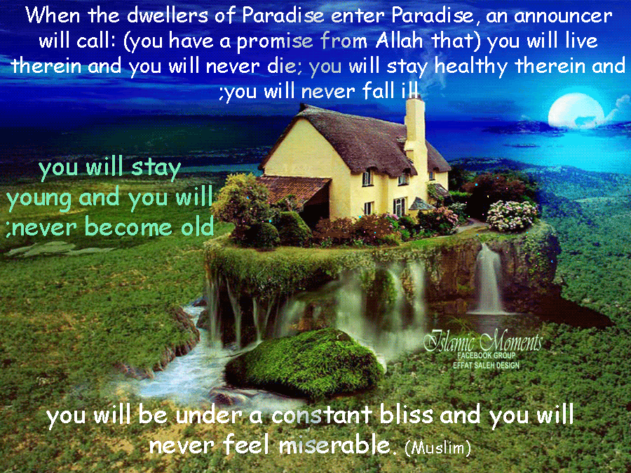 paradise Pictures, Images and Photos