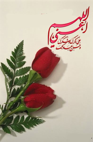 roses Pictures, Images and Photos