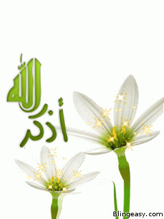 white flowers Pictures, Images and Photos
