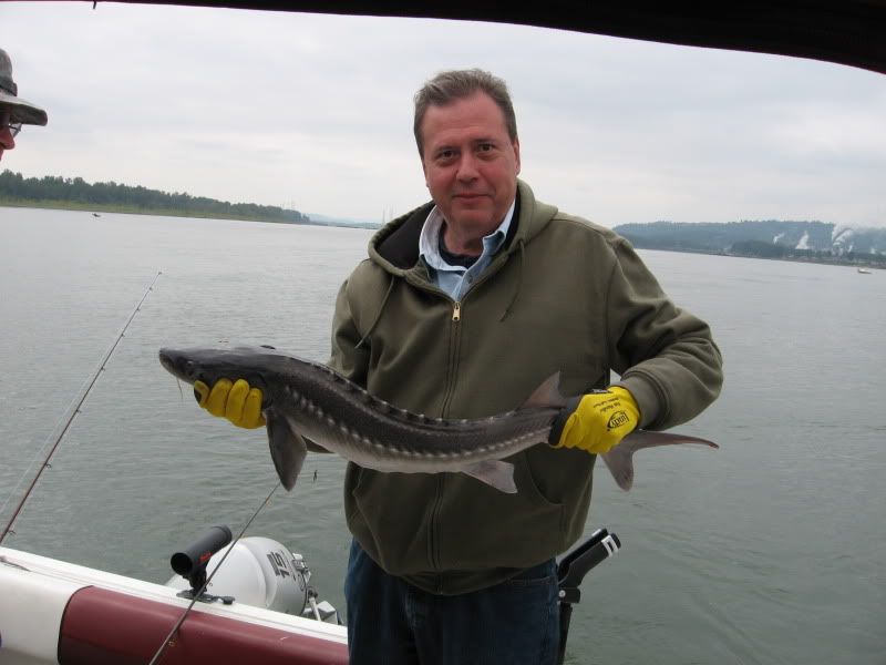 http://i450.photobucket.com/albums/qq225/iPix/2010/Sturgeon36in.jpg