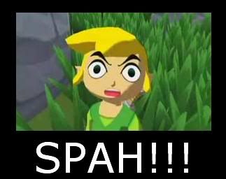 link_spah_spray.jpg