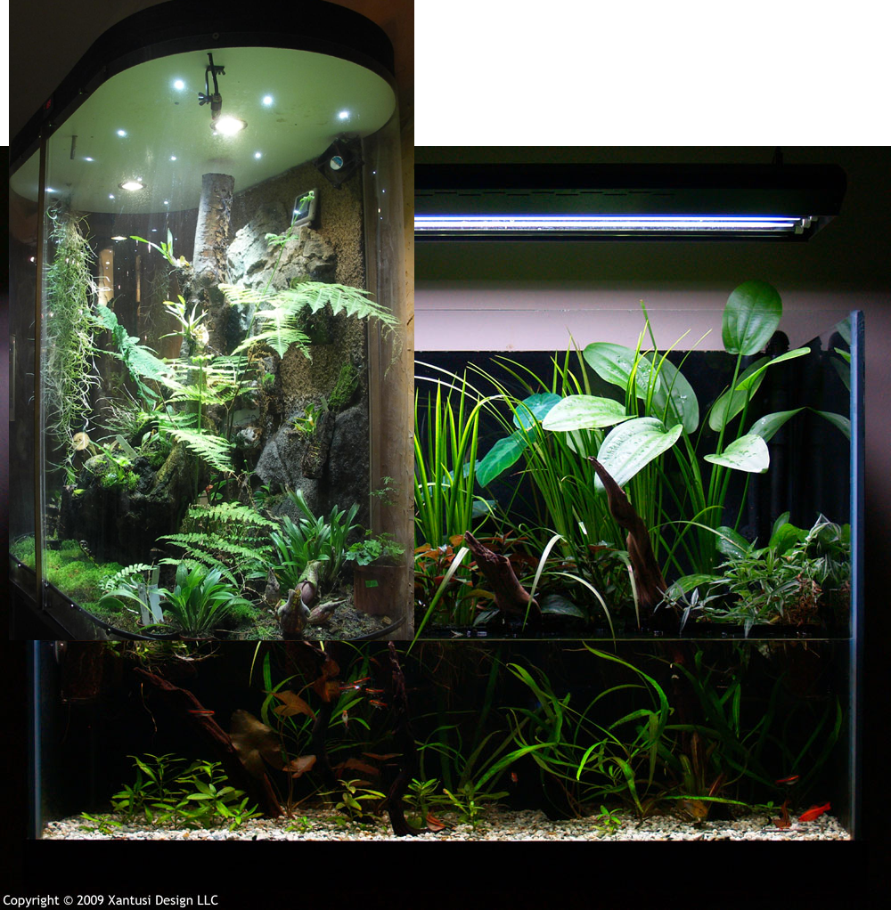 thoughts, plans and questions for a riparium/aquarium ...