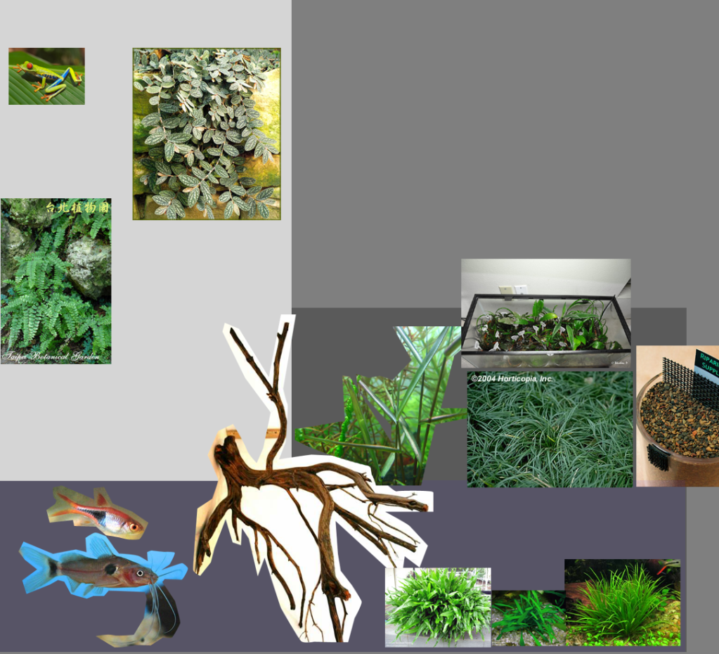 thoughts, plans and questions for a riparium/aquarium/terrarium combo