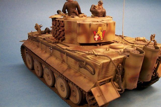 mntiger-13.jpg