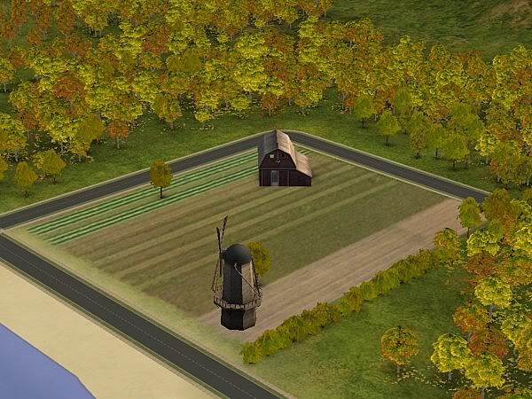 snapshot_0000004d_3794094a.jpg