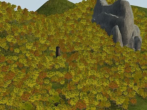 snapshot_0000004d_77940af5.jpg