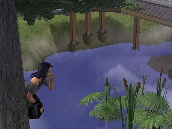snapshot_979de304_d7aaaf13.jpg