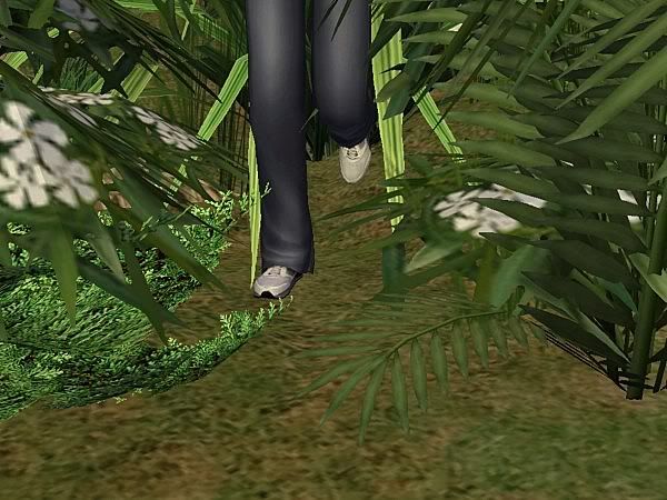 snapshot_979de304_77b53a5b.jpg