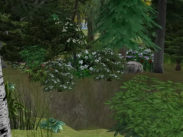 snapshot_979de304_97b55f21.jpg