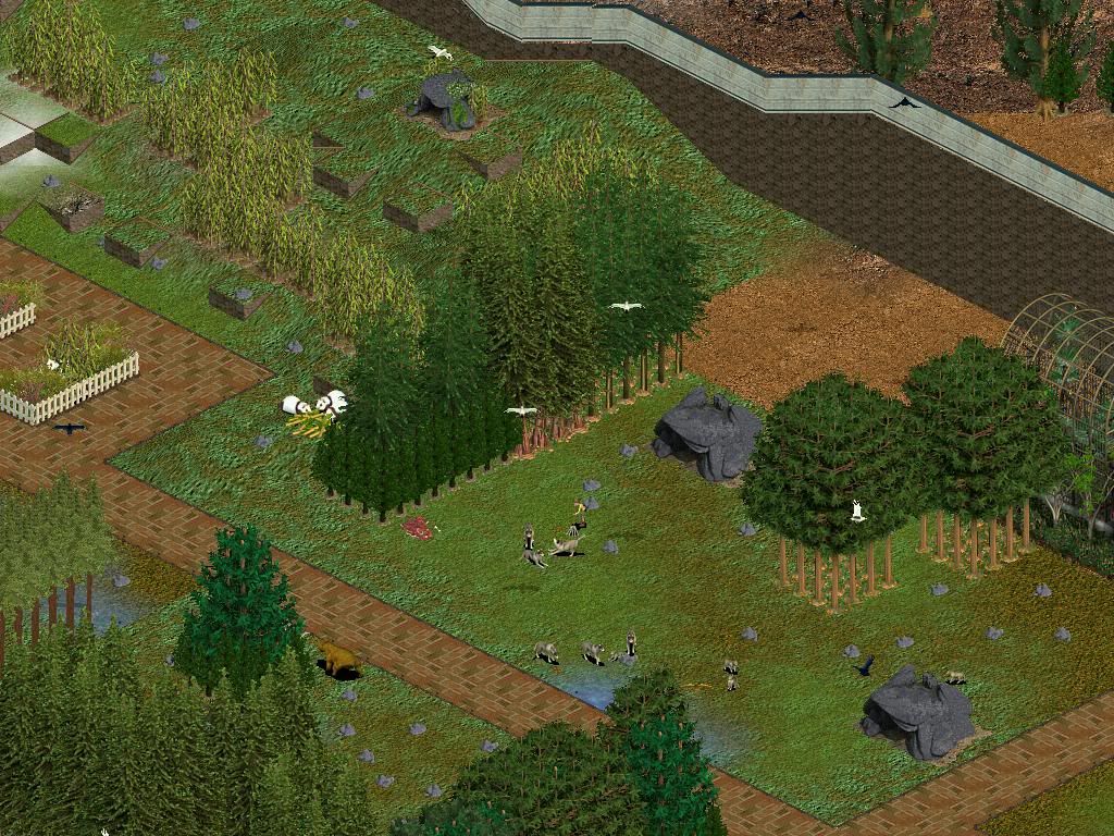 mountainzoo7.jpg