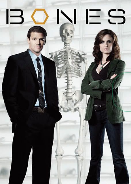 Bones S06E09 HDTV XviD NLsubs DutchReleaseTeam preview 0