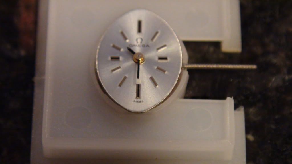 DSC01082.jpg