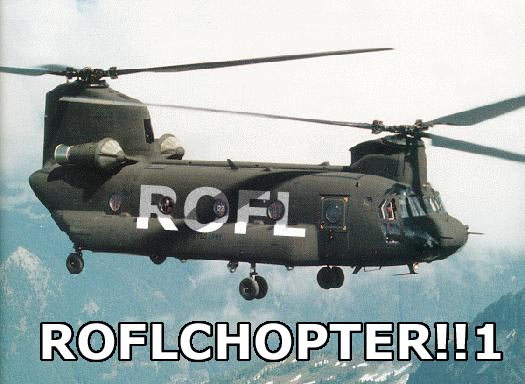 ROFLCOPTER.png