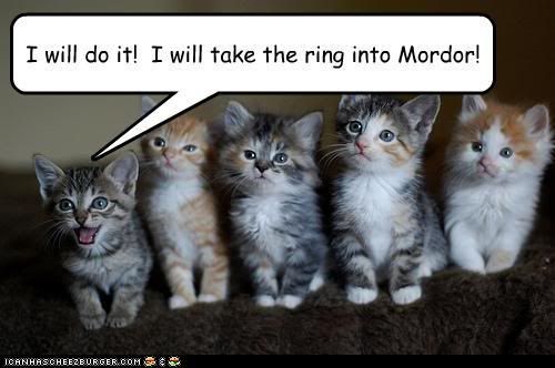 funny-pictures-i-will-do-it-i-will-take-the-ring-into-mordor.jpg