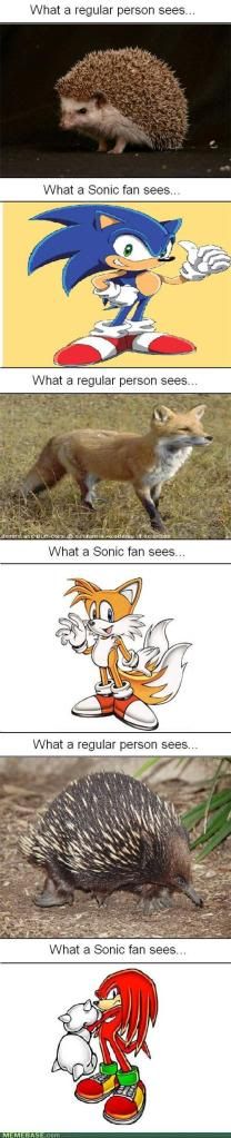 memes-knuckles-looks-nothing-like-a.jpg