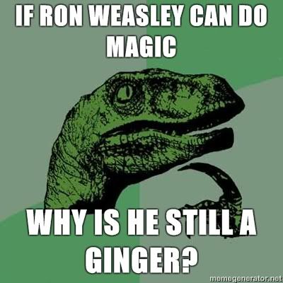 philosoraptor-weasley.jpg