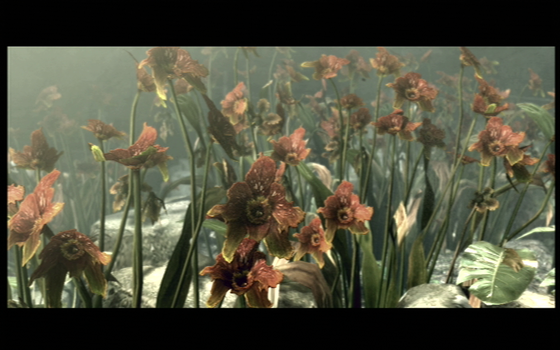 flower.png